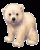 /album/medved-ledni/medved-ledni-001-gif/